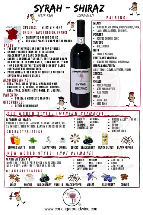 shiraz wine characteristics